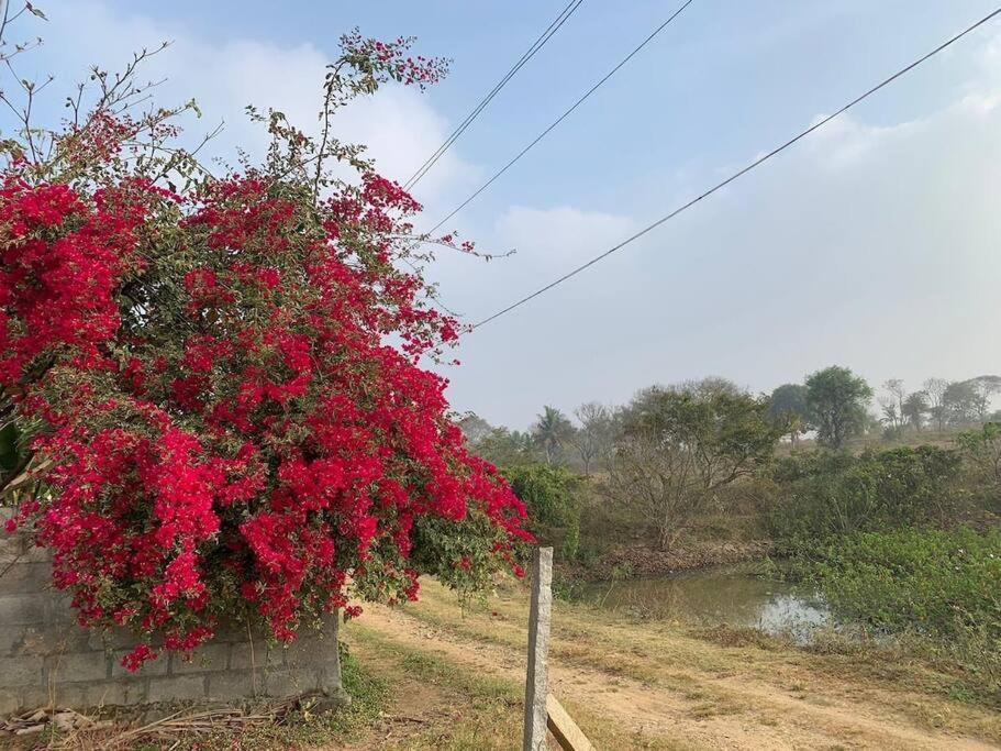Sattva Farmstay Bangalore Exterior foto